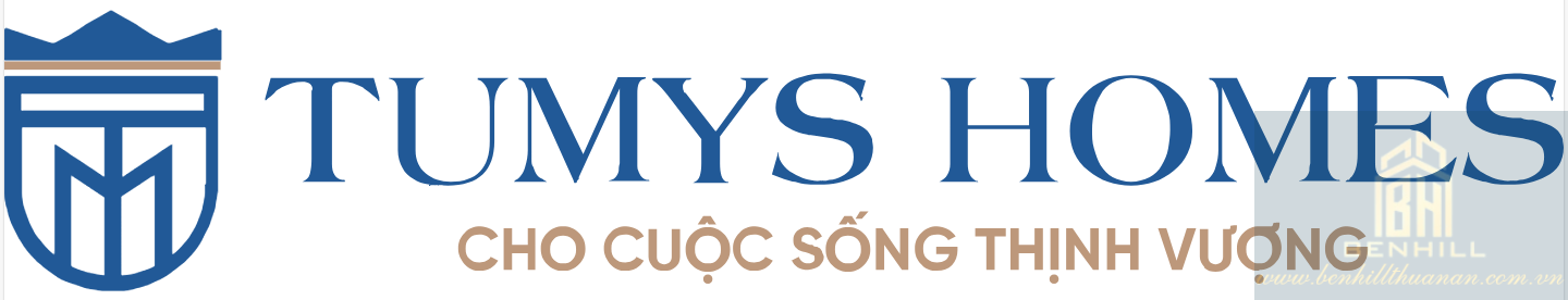 Logo Tumys Homes